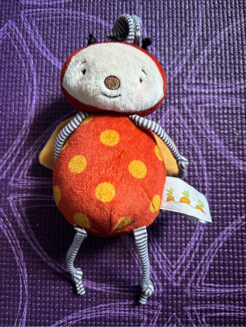 Baby ladybug hanging toy